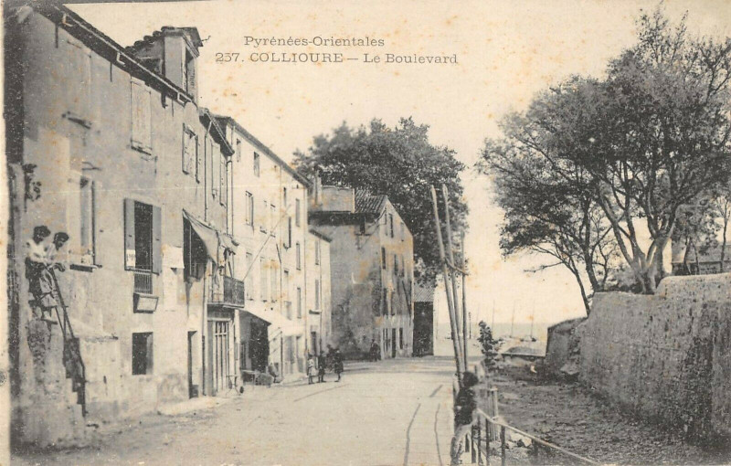 Carte postale ancienne Collioure Le Boulevard à Collioure