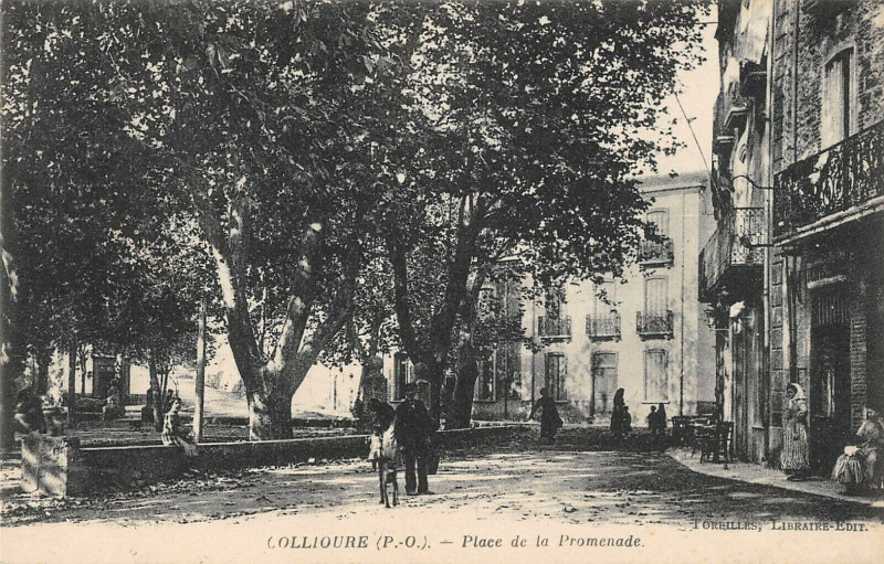 Carte postale ancienne Collioure Place De La Promenade à Collioure