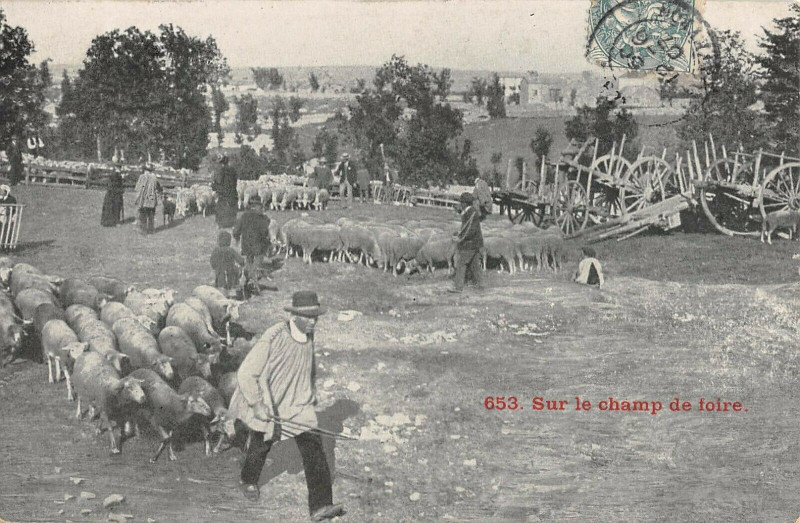Carte postale ancienne Sur Le Champ De Foire