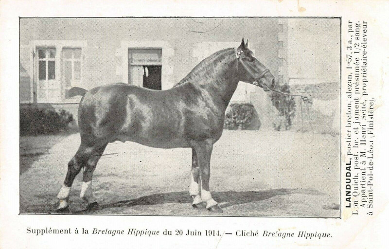 Carte postale ancienne Bretagne Hippique Landudal Postier Breton A Mr Henri Seite Saint-Pol De Leon à Landudal