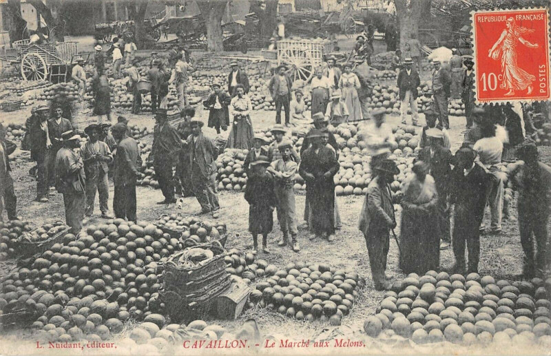 Carte postale ancienne Cavaillon Le Marche Aux Melons à Cavaillon