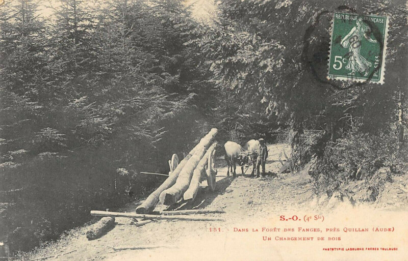 Carte postale ancienne Dans La Foret Des Fanges Pres Quillan Un Chargement De Bois à Quillan