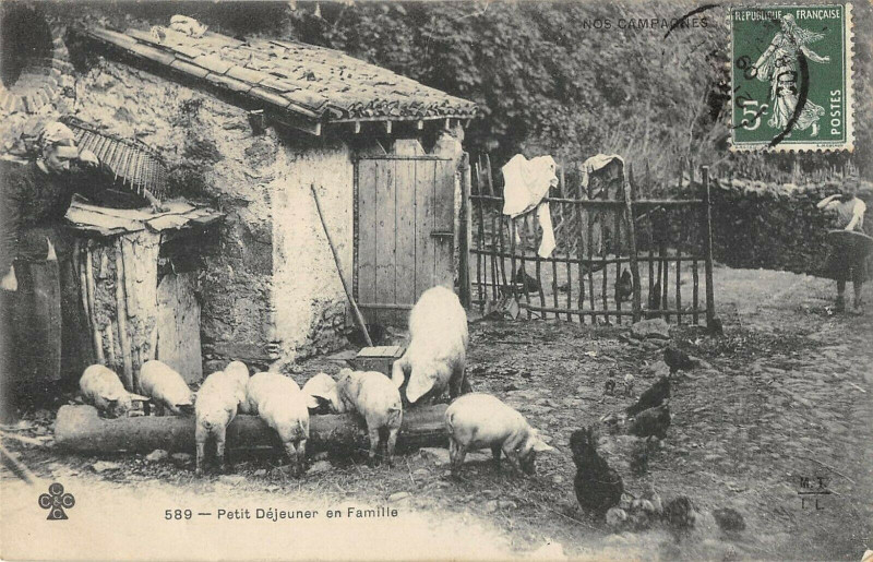 Carte postale ancienne Petit Dejeuner En Famille