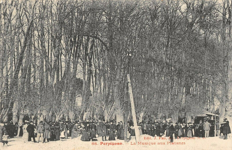 Carte postale ancienne Perpignan La Musique Aux Platanes à Perpignan