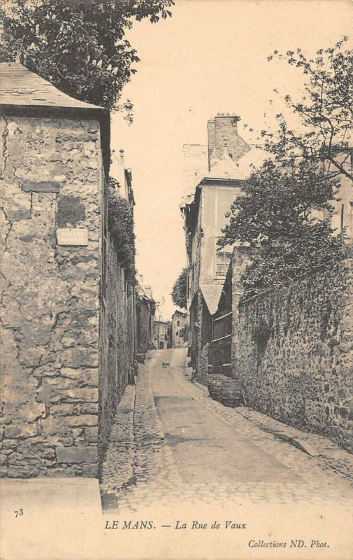 Carte postale ancienne Le Mans La Rue De Vaux au Mans