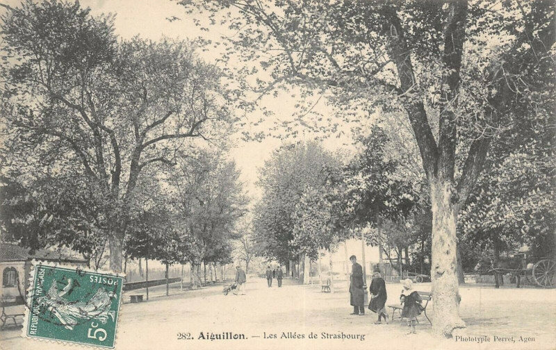 Carte postale ancienne Aiguillon Les Allees De Strasbourg à Aiguillon