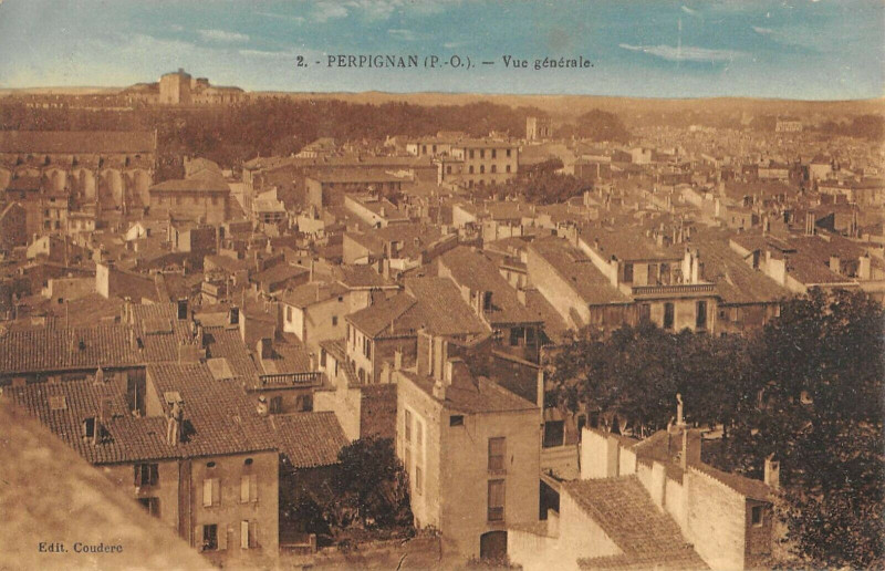 Carte postale ancienne 65 Perpignan Vue Generale à Perpignan