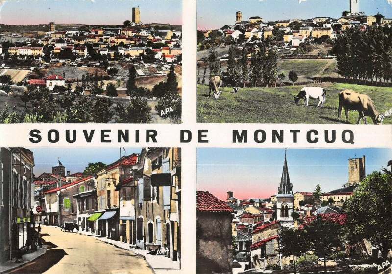 Carte postale ancienne Souvenir De Montcuq