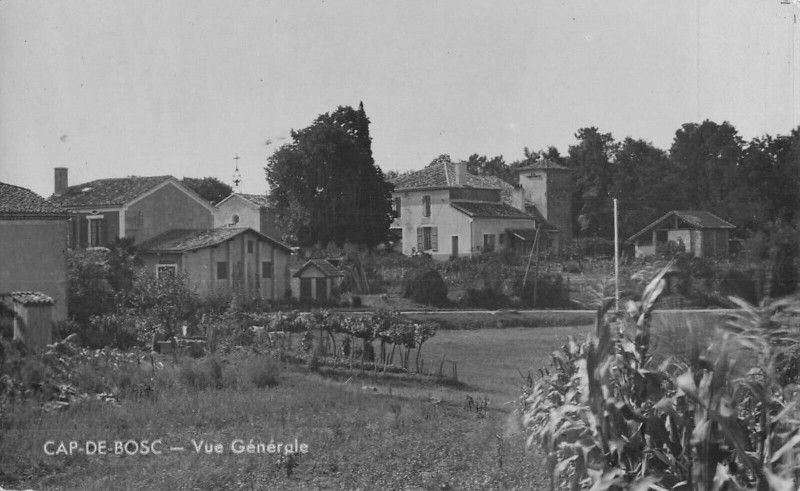 Carte postale ancienne Cap De Bosc Vue Generale
