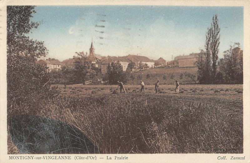 Carte postale ancienne Montigny Sur Vingeanne La Prairie