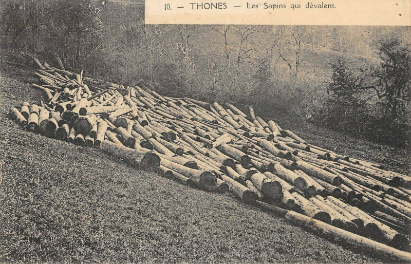 Carte postale ancienne Thones Les Sapins Qui Devalent (cliché pas courant à Thônes