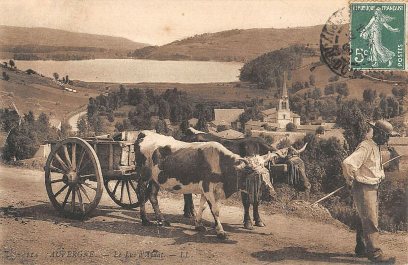 Carte postale ancienne Auvergne Le Lac D'Aydat à Aydat