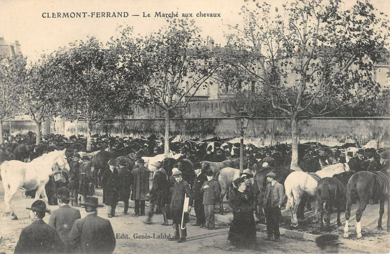 Carte postale ancienne Clermont Ferrand Le Marche Aux Chevaux à Clermont-Ferrand
