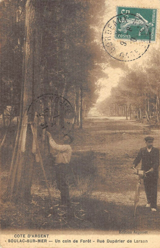Carte postale ancienne Soulac Sur Mer Un Coin De Foret Rue Duperier De Larsan à Soulac-sur-Mer