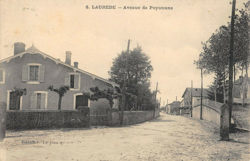 Carte postale ancienne Laurede Avenue De Poyanne à Laurède