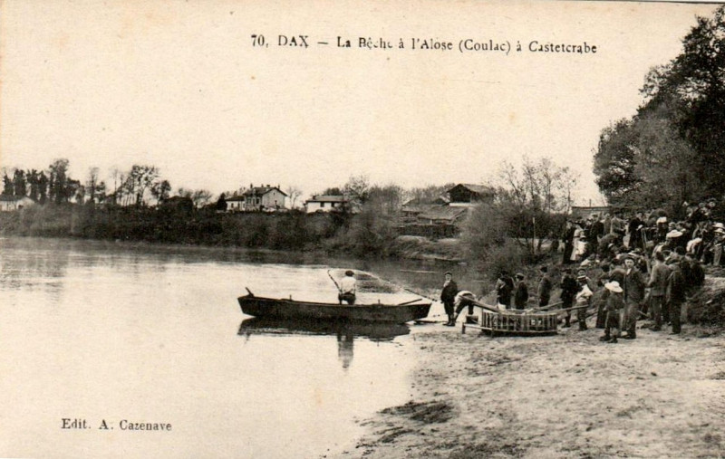 Carte postale ancienne Dax (Landes) - Adour - pêche à l'alose 1