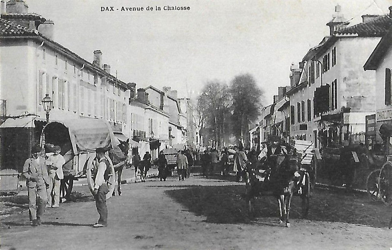 Carte postale ancienne Dax (Landes) - avenue de la Chalosse 2