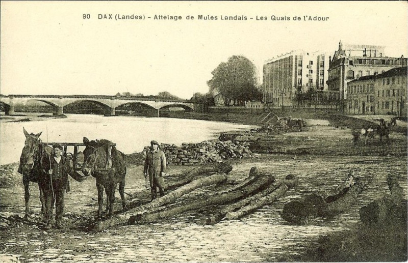 Carte postale ancienne Dax (Landes) - rives de l'Adour 12