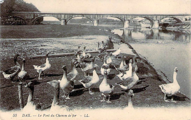 Carte postale ancienne Dax (Landes) - rives de l'Adour 10