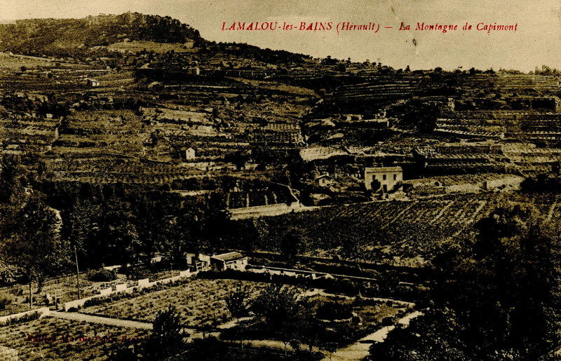 Carte postale ancienne Albert F. Graf to Agnes H. Petersen, postcard - Dpla - bb6e779026cb659c4a84e7462ae9ffdd (page 1)
