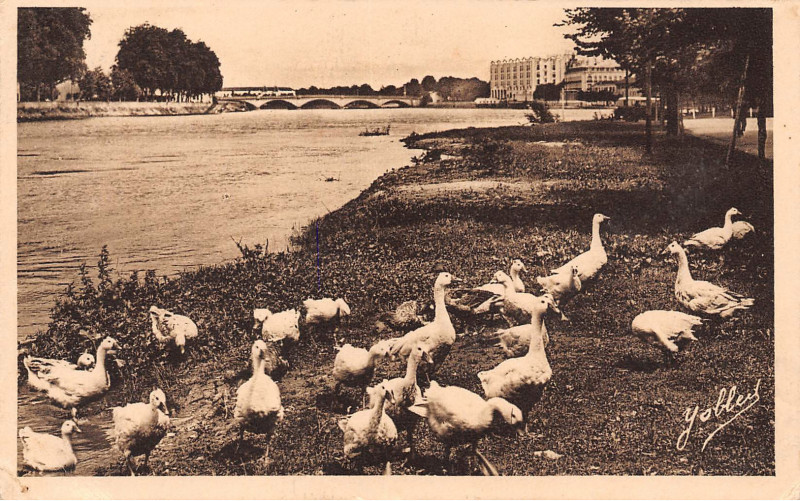 Carte postale ancienne Dax (Landes) - rives de l'Adour 9