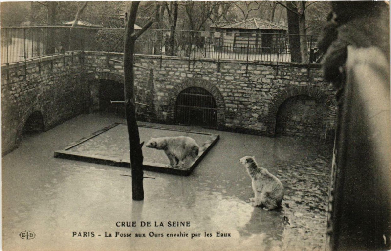 Carte postale ancienne Paris La Fosse aux Ours envahie par les eaux Inondations 1910 à Paris