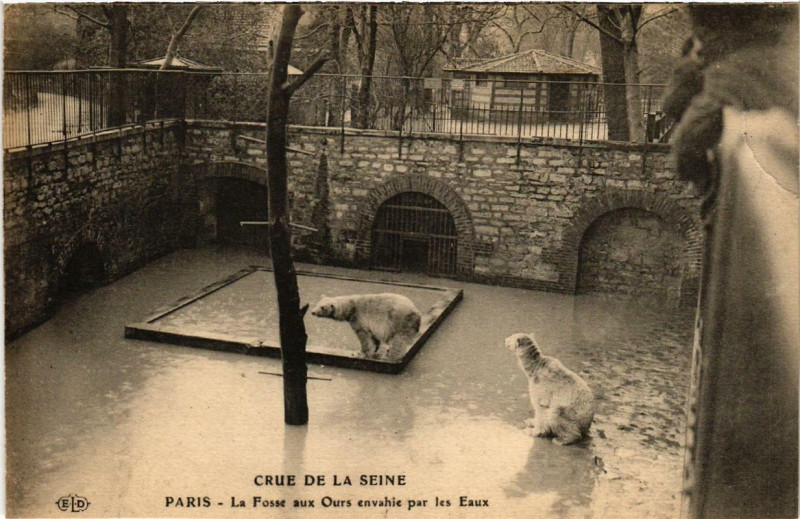 Carte postale ancienne Paris La Fosse aux Ours envahie par les eaux Inondations 1910 à Paris