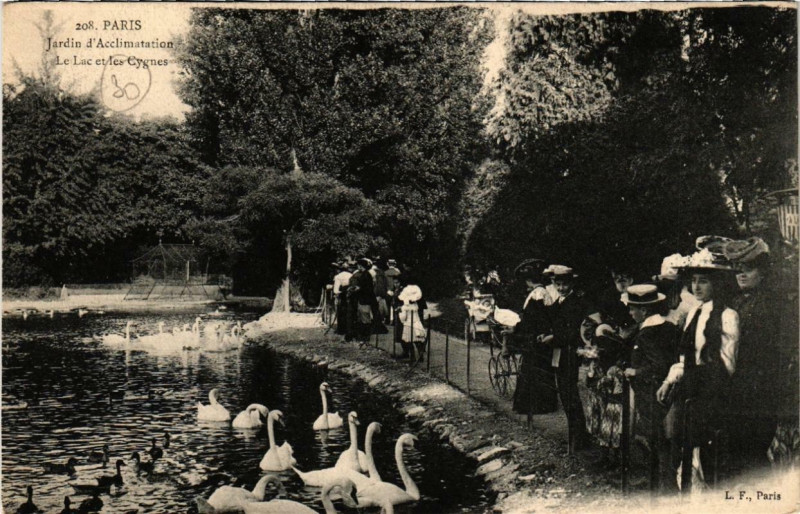 Carte postale ancienne Jardin d'Acclimatation - Le Lac et les Cygnes à Paris 16e