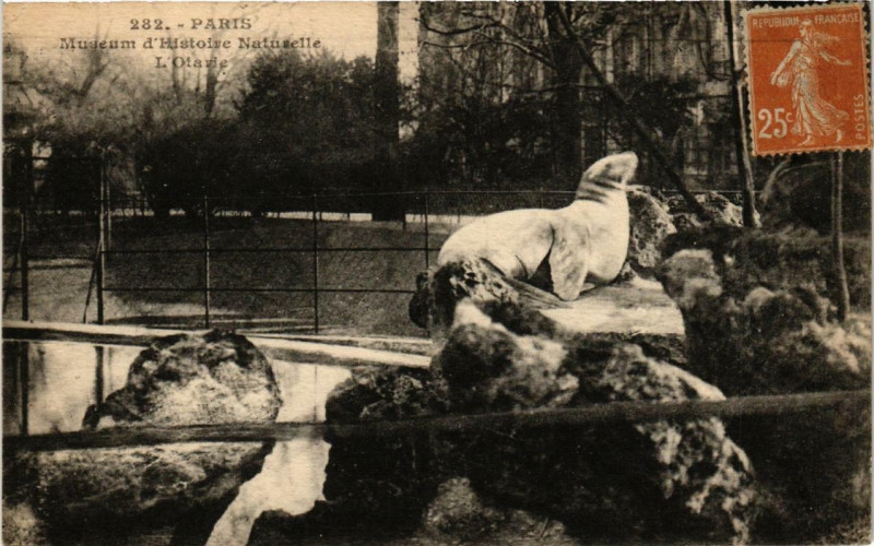 Carte postale ancienne Paris (5e) Museum d'Histoire Naturelle. L'Otarie à Paris 5e