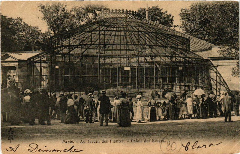 Carte postale ancienne Paris (5e) Au Jardin des Plantes. Palais des Singes à Paris 5e