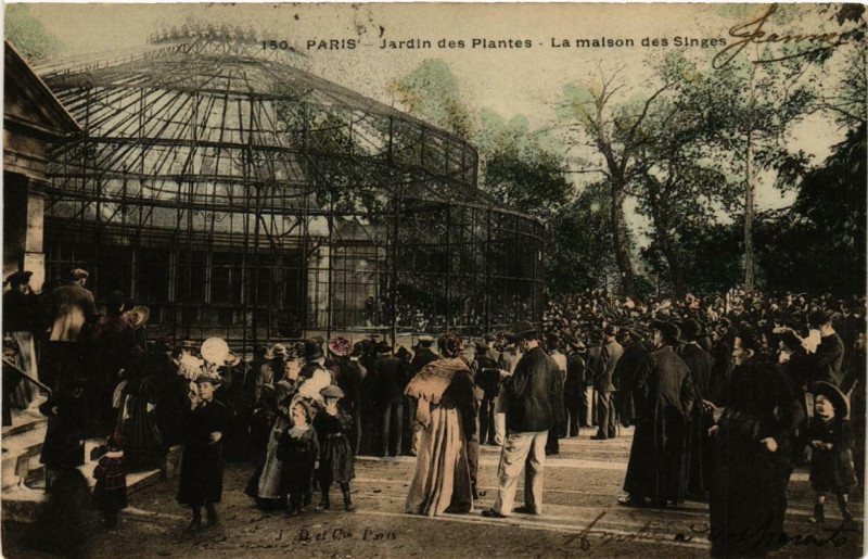 Carte postale ancienne Paris (5e) Jardin des Plantes. La Maison des Singes à Paris 5e