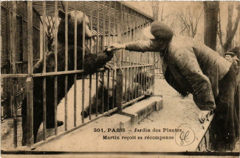 Carte postale ancienne Paris (5e) Jardin des Plantes. Martin recoit sa recompense à Paris 5e