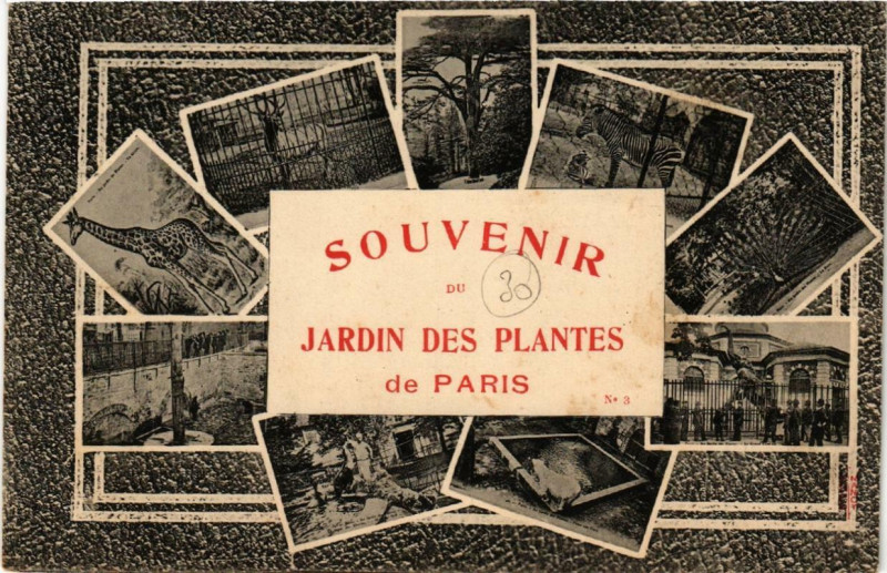 Carte postale ancienne Paris (5e) Souvenir du Jardin des Plantes. à Paris 5e