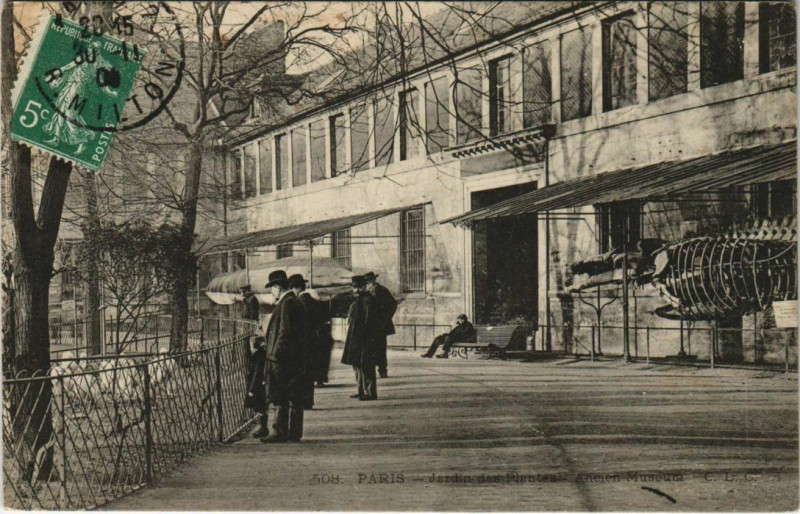 Carte postale ancienne Paris (5e) Jardin des Plantes - Ancien Muséum à Paris 5e