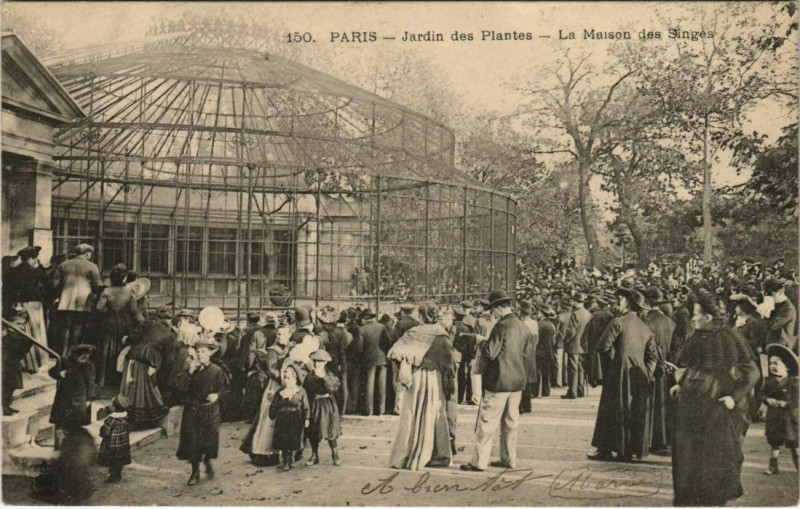 Carte postale ancienne Paris (5e) Jardin des Plantes - La Maison des Singes à Paris 5e