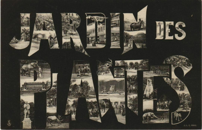 Carte postale ancienne Paris (5e) Jardin des Plantes - à Paris 5e