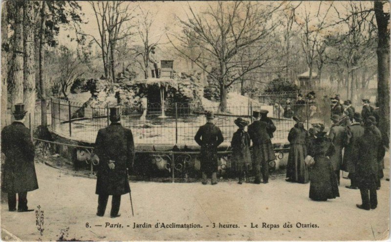 Carte postale ancienne Jardin d'Acclimatation -  Le Repas des Otaries à Neuilly-sur-Seine