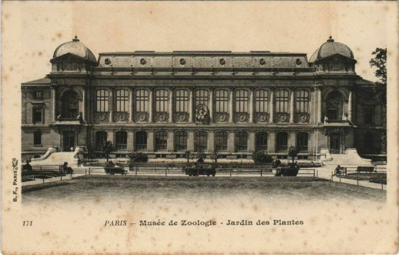 Carte postale ancienne Paris (5e) Jardin des Plantes - Musée de Zoologie à Paris 5e