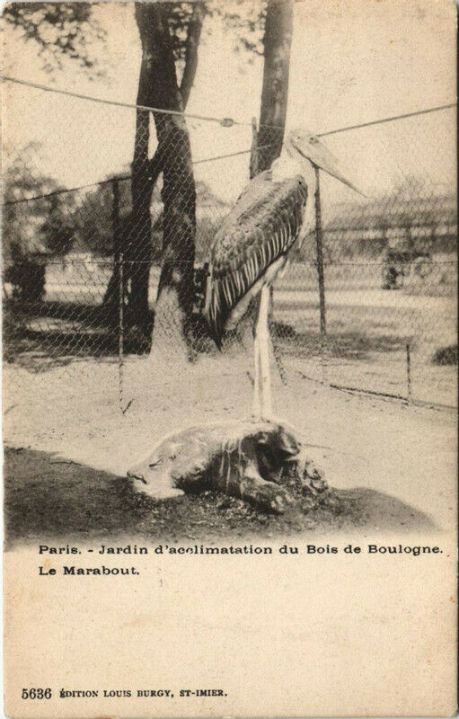 Carte postale ancienne Jardin d'acclimatation du Bois de Boulogne - Le Marabout à Neuilly-sur-Seine