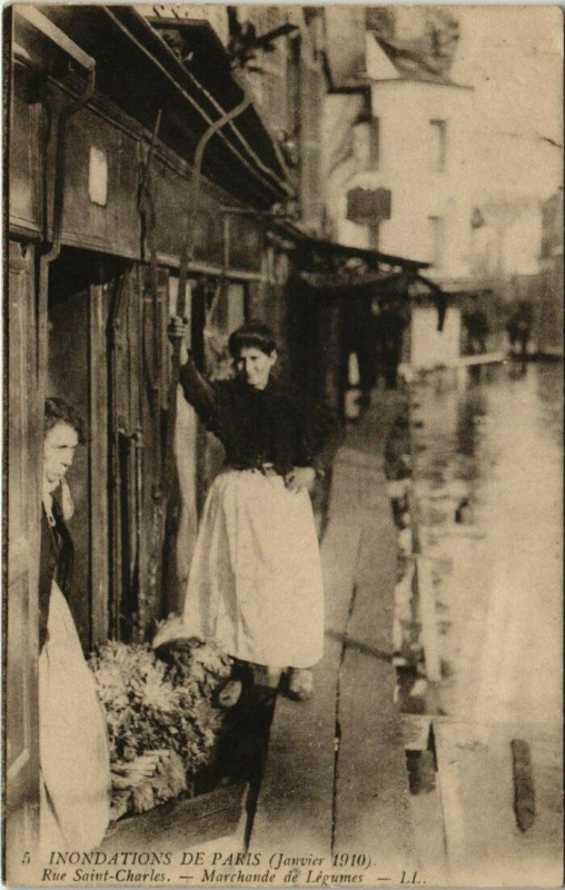 Carte postale ancienne Inondations de Paris (Janvier 1910) - Rue Saint-Charles - Marchande de Légumes à Paris 15e