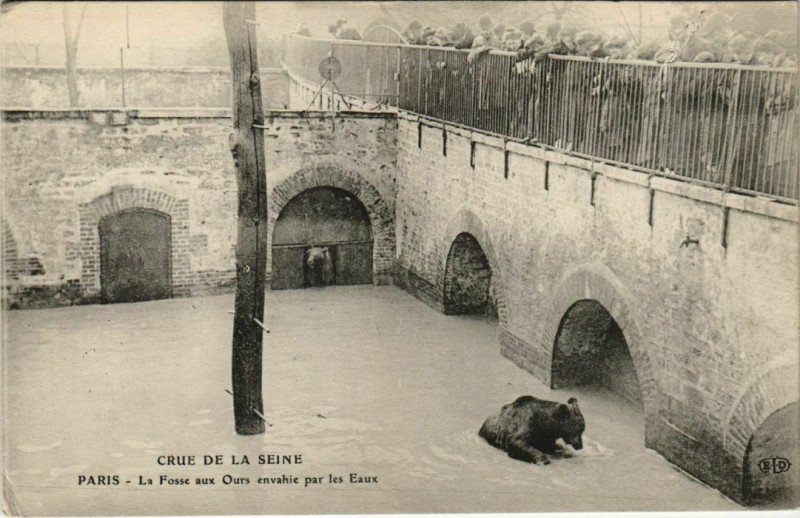 Carte postale ancienne Paris 5e - La Fosse aux Ours envahie par les Eaux à Paris 5e