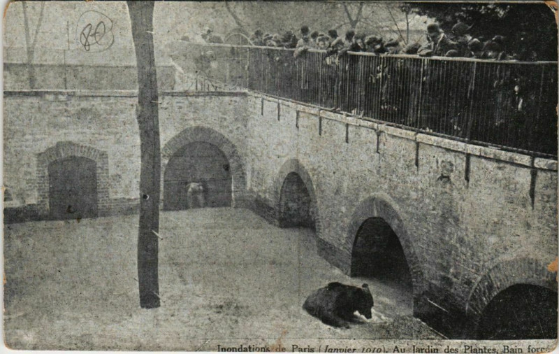Carte postale ancienne Paris 5e - Au Jardin des Plantes, Bain forcé à Paris 5e