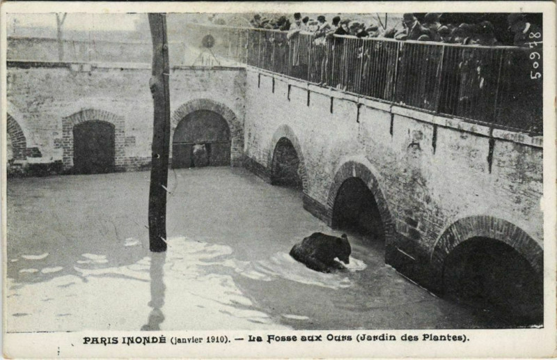 Carte postale ancienne Paris 5e - La Fosse aux Ours (Jardin des Plantes) à Paris 5e