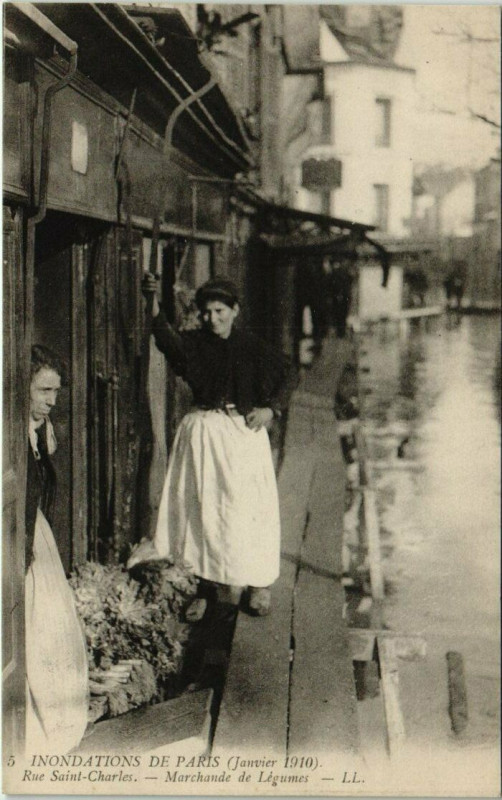 Carte postale ancienne Inondations de Paris (Janvier 1910) - Rue Saint-Charles - Marchande de Légumes à Paris 15e