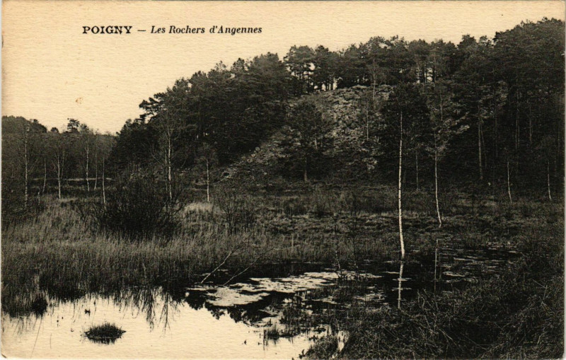 Carte postale ancienne Poigny - Les Rochers d'Angennes à Poigny