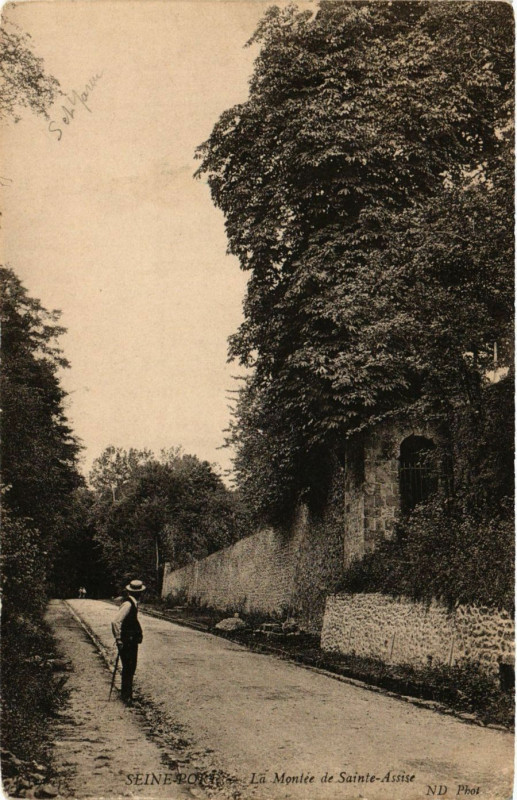 Carte postale ancienne Seine-Port - La Montée de Sainte-Assise à Seine-Port