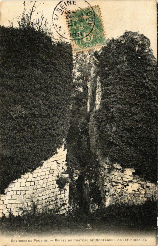 Carte postale ancienne Provins - Env. - Ruines du Chateau de Montaiguillon à Provins