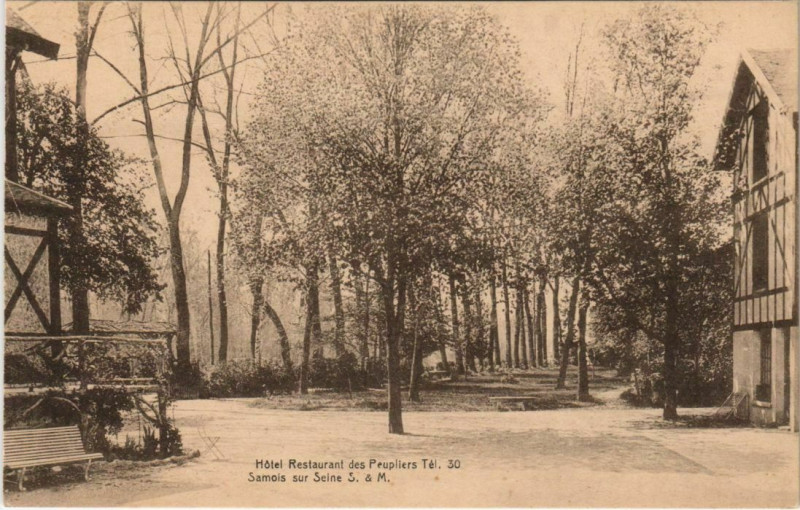 Carte postale ancienne Samois Hotel Restaurant des Peupliers France