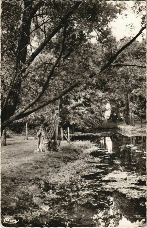 Carte postale ancienne Combs la Ville Bords de l'Yerres France à Combs-la-Ville