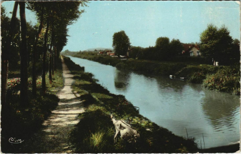 Carte postale ancienne Chelles Le Canal France à Chelles
